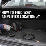 How to Find w201 location of amplifier